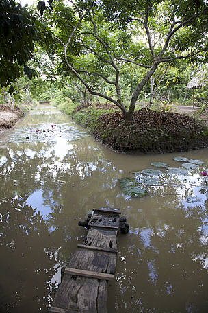 Shrimp Farm, Vietnam, Mekong Delta
© Adam Oswell / WWF Greater Mekong Mekong Vietnam Rejefarm Fisk
© Adam Oswell / WWF Greater Mekong