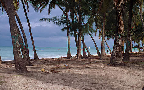 The east coast of Zanzibar A prime site for tourism development Tanzania
© Meg Gawler / WWF Tanzania Østafrika Afrika rel=
