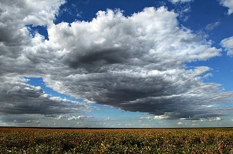 Large soy (Glycine max) monoculture and a cloudy sky, in the region of Roda Velha, Bahia, Brazil.
© Adriano Gambarini / WWF-Brazil Soja Landbrug rel=